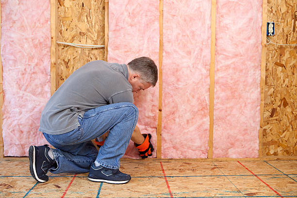 Best Commercial Insulation in New Albany, MS