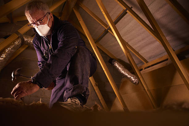 Types of Insulation We Offer in New Albany, MS